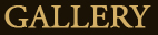 Euro Style Cabinets - Gallery